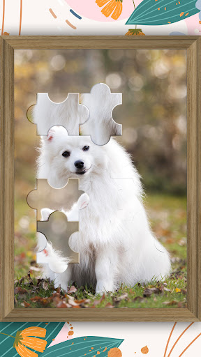 Jigsaw Puzzle - Jigsort Master Screen 3