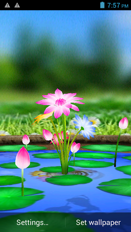 3D Flowers Touch Wallpaper - 3.8 - (Android)