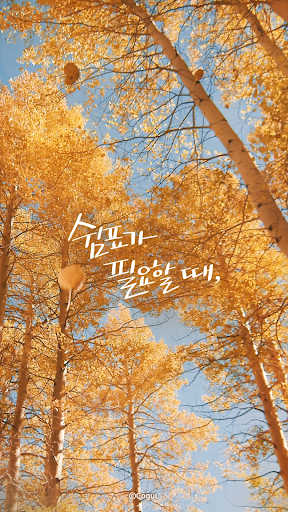 Android application 카카오톡 테마 - 쉼표가 필요할 때_가을 하늘 screenshort