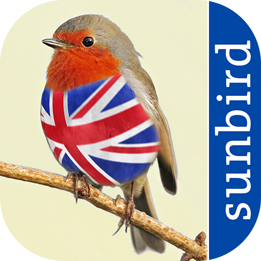 All Birds UK  - A Sunbird Fiel 1.1 Icon