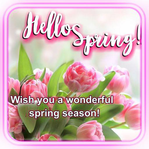 Spring Greetings Messages  Icon