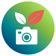Top 10 Photography Apps Like BiedjaCam - Best Alternatives