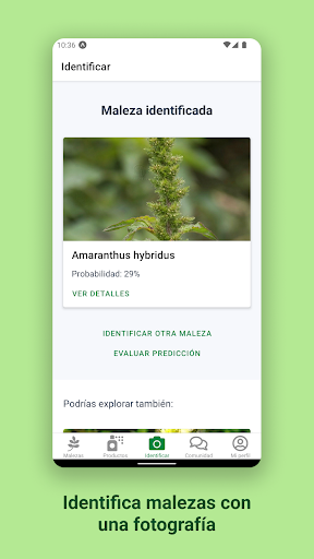 ZAMID Screen 2