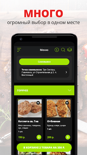 Android application Три Сестры | Павловск screenshort