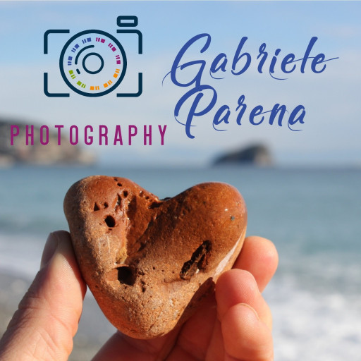 Gabriele Parena logo