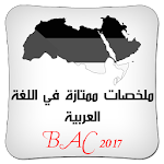 Cover Image of Baixar Excelente resumo da língua árabe BAC  APK