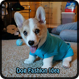 Dog Fashion Idea icon