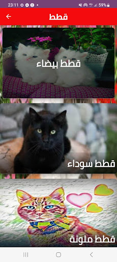 Android application cat picture screenshort