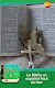 screenshot of Biblia fácil de entender audio