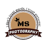 MS PHOTOGRAPHY icon