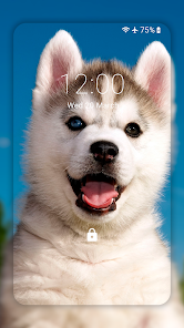 Husky dog Wallpaper HD : backgrounds & themes  screenshots 1