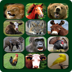 Cover Image of डाउनलोड जानवरों की ध्वनि  APK