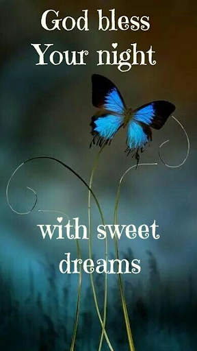 Good Night Quotes & Blessings Screen 3
