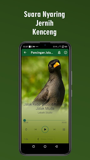 Suara Jalak Kebo Gacor Ampuh Screen 2