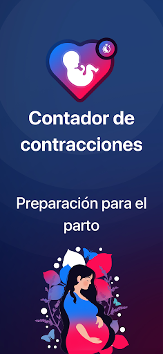 Vista previa de la aplicación