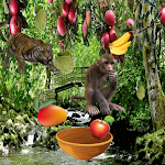 Cover Image of Baixar Fruit Catcher  APK