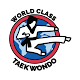 World Class Taekwondo(Buffalo)