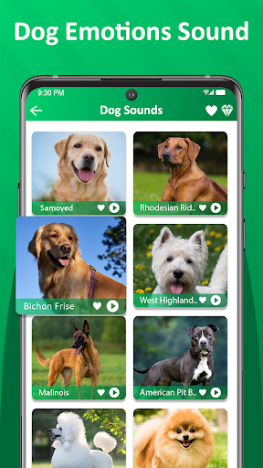 Dog Barking Sounds & Ringtones Screen 2