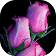 Sweet love flowers, Roses Live Wallpapers, GIF/4K icon
