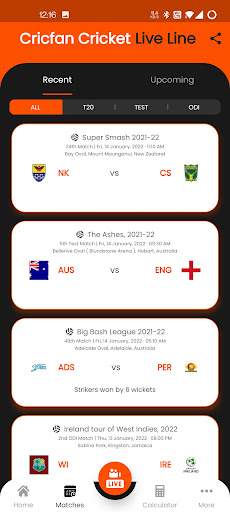 Cricfan Cricket Live Line Screen 2