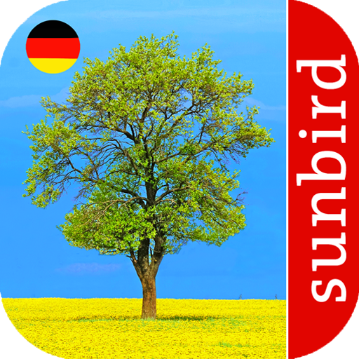 Baum Id - Deutschlands Bäume