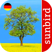 Baum Id - Deutschlands Bäume Mod apk versão mais recente download gratuito