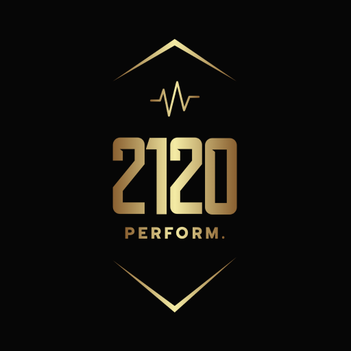 2120 Performance Download on Windows