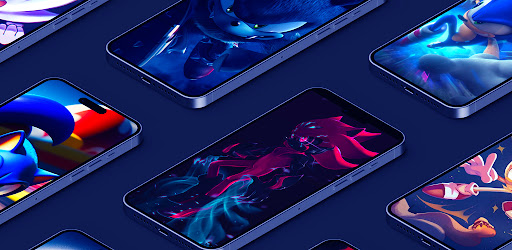 Hedgehog Wallpaper HD 4K