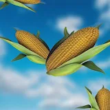Its corn song icon
