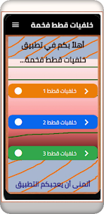 خلفيات قطط فخمة