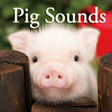 Pig Sounds icon