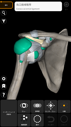 解剖学 - 3Dアトラスのおすすめ画像4