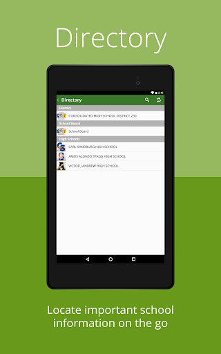 Consolidated HS District 230 Screen 3