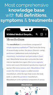 WikiMed - Offline Encyclopedia Screenshot
