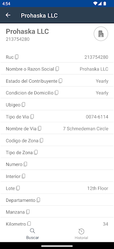 Consulta RUC Screen 2