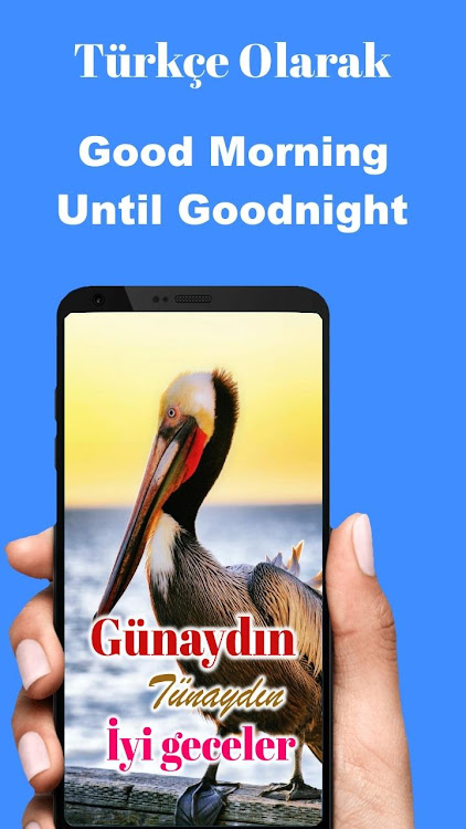 Turkish Good Morning to Night - 9.12.00.8 - (Android)
