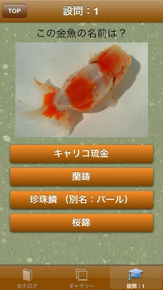 日本金魚図鑑のおすすめ画像4