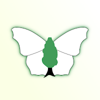 IRecord Butterflies
