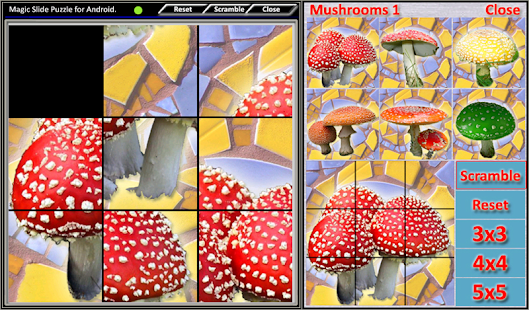 Magic Slide Puzzle Mushrooms 1(圖1)-速報App