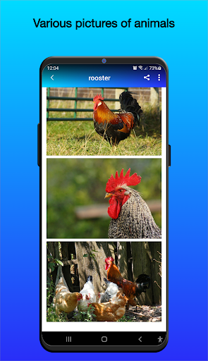 Screenshot of Animal Sounds