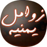 زوامل انصار الله اليمنية icon