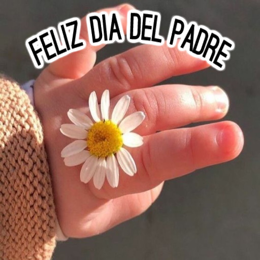 Feliz día del padre. Postales logo