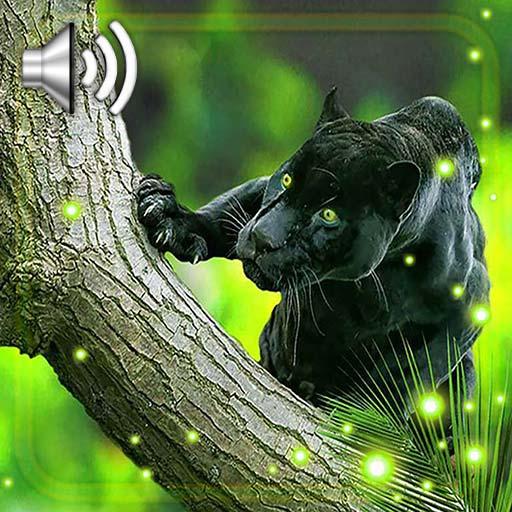 Panther Jungles Live Wallpaper - Ứng dụng trên Google Play