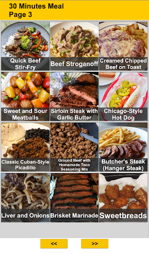 30 Minutes Meal Recipes Screen 3