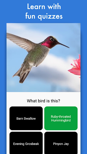 Smart Bird ID Screen 3
