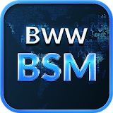 BSM icon