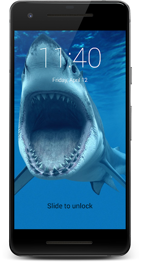 Great White Shark HD Lock Scre