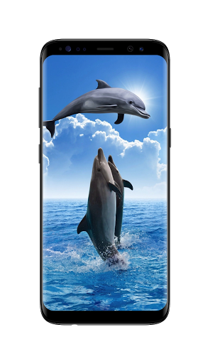 イルカの壁紙 By Agroplan Devs Google Play Japan Searchman App Data Information