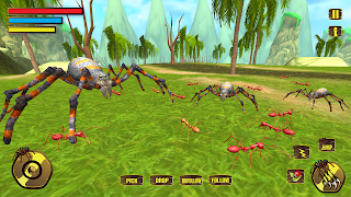Wild Spider Tarantula Insect - Screenshot 3