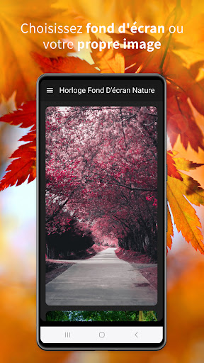 Aperçu de l'application